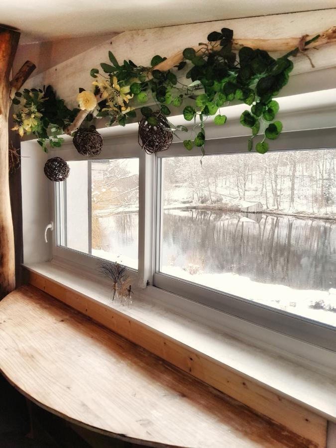 Appartement le Crusoé à l'étang d'Anty Saint-Nabord Esterno foto